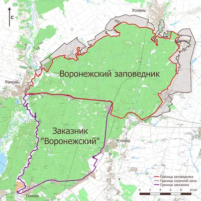 В Воронеже на 6 часов запретят парковку у парка Победы – Новости Воронежа и  Воронежской области – Вести Воронеж