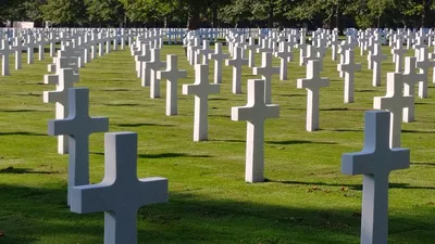 Кладбище Военное Кресты - Бесплатное фото на Pixabay - Pixabay