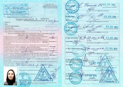 Лицензия Автошколы Папа на обучения теории и вождению автомобиля для  получения водительского удостоверения
