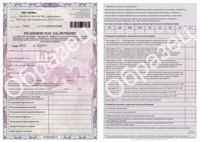 Автошкола Автофил - Медсправка для водителя и в каких случаях она  необходима🙄 ⚠️Новые справки формы 003-В/У имеют ряд отличий: 🚫бланк  формата А5 должен заполняться с лицевой стороны; 🚫отсутствуют свободные  поля для заполнения