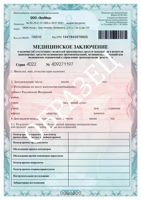 Водительская медкомиссия в Беларуси в 2024 году: стоимость мед справки для  прав и автошколы, порядок прохождения медицинской комиссии по новым правилам