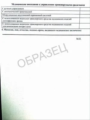 Как сделать водительскую справку в Гомеле