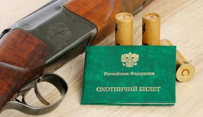 Охотничий билет приморцы могут оформить в режиме онлайн - PrimaMedia.ru