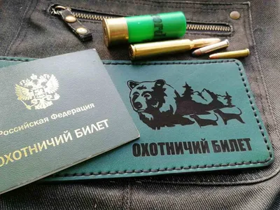 Получить охотничий билет можно онлайн — Новости Оренбурга и Оренбургской  области на РИА56