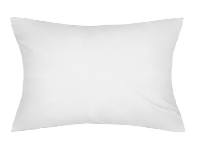 Чехол на подушку Tkano Ethnic с этническим орнаментом, 30x60 см по цене  2990 ₽/шт. купить в Москве в интернет-магазине Леруа Мерлен
