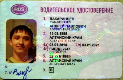 Путин разрешил использовать водительские права для подтверждения личности -  РИА Новости, 26.04.2022
