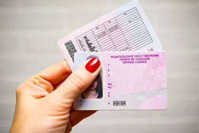 В России начнут выдавать водительские удостоверения нового образца — теперь  без штрих-кода
