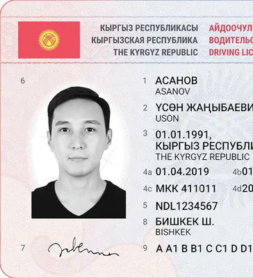 Фото новых водительских прав. ГРС уже начала их выдавать - 11.12.2019,  Sputnik Кыргызстан