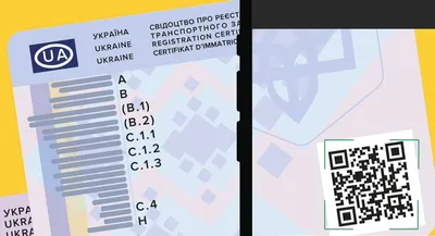 Водительское удостоверение европейского образца: как украинским водителям  получить права, адаптированные к документам ЕС
