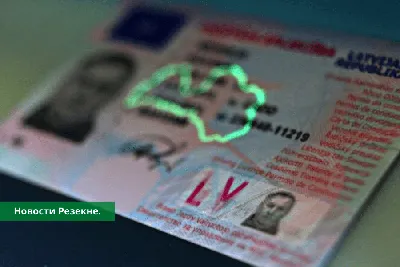 Сколько стоят новые водительские права, как и где их получить? Обзор –  Новости из Кыргызстана – АКИpress
