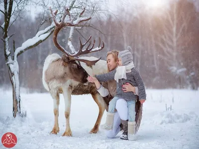 20 идей для зимней съёмки love-story - Weddywood
