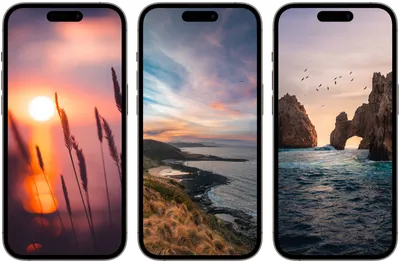 Обои лето, облако, атмосфера, дневное время, растение для iPhone 6S+/7+/8+  бесплатно, заставка 1080x1920 - скачать картинки и фото