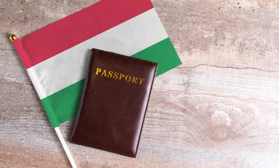 Виза в Венгрию: нужна ли виза, как получить, условия пребывания без визы в  2024 году