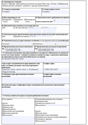 Анкета на визу в Венгрию образец 📑 Пример заполнения анкеты