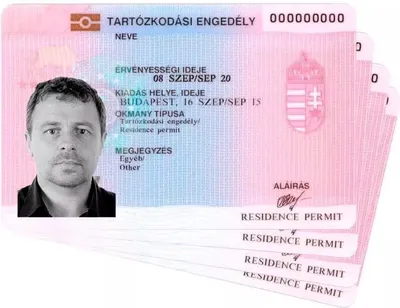 Виза в Венгрию: стоимость, документы, сроки получения - Astons