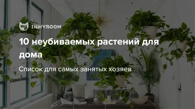 Funburg.ru - \"Букеты\" для самых практичных 🌱 ⠀ У нас... | Facebook