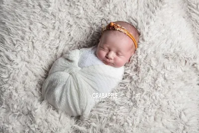 Newborn Photo Round Up :: Baby Girls · Crabapple Photography