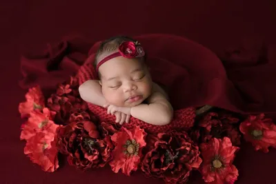Newborn Studio Photography | Baby Arabella - hellophotographyaustin.com