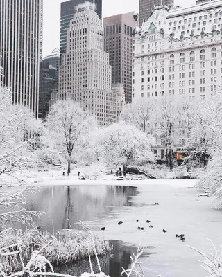 Снежный нью йорк обои - 63 фото