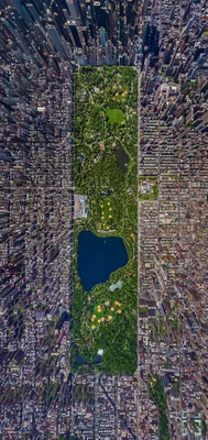 Центральный парк с высоты 800 метров, Нью-Йорк | New york city central  park, Central park view, Aerial images