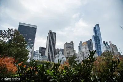 Роскошный Нью-Йорк: 10 самых дорогих объектов недвижимости