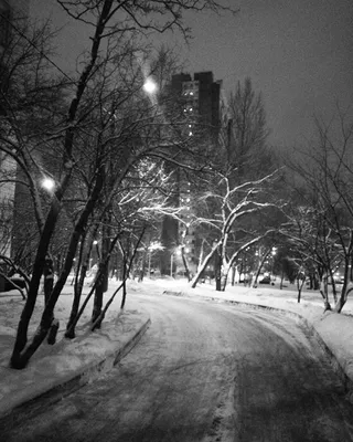 Самая холодная ночь зимы зафиксирована в Москве – Москва 24, 18.01.2021