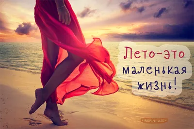 МИР Настроения - Чуть помедленнее ... лето , чуть... | Facebook