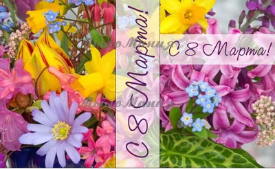 38 568 102 рез. по запросу «Весна» — изображения, стоковые фотографии,  трехмерные объекты и векторная графика | Shutterstock