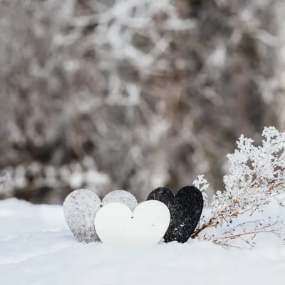 Зимние обложки для профиля ❄ — Трикки — тесты для девочек