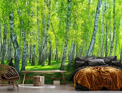 Флизелиновые фотообои 3Д дерево 368x254 см Природа - Зеленый березовый лес  (14554V8)+клей (ID#1819513463), цена: 2070 ₴, купить на Prom.ua