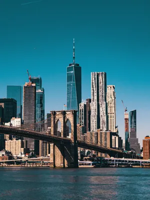 Скачать обои город, небоскребы, нью-йорк, здания, восход солнца разрешение  2560x1600 #41073