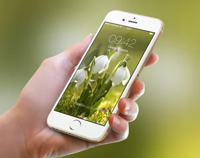 13 Gorgeous Spring Blossom iPhone Wallpapers | Preppy Wallpapers | Spring  wallpaper, Flower background iphone, Iphone wallpaper pinterest