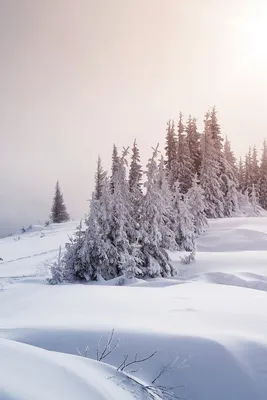 Обои на телефон зима | Зимние сцены, Зимняя фотография, Пейзажи