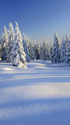 Winter ❄️ Wallpaper | Winter scenery, Winter wallpaper, Winter photos