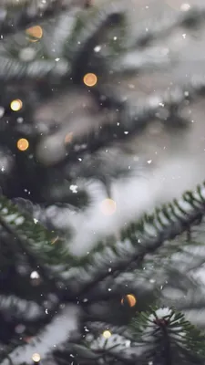 Winter ❄️ Wallpaper | Рождественские обои, Зимние картинки, Рождественские  пейзажи