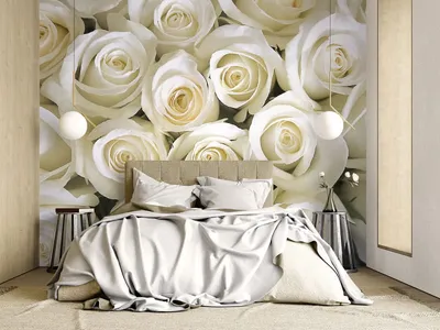 Фотообои Белые розы на стену. Купить фотообои Белые розы в  интернет-магазине WallArt