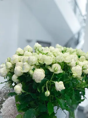 Обои Белые розы 294х260см купить в Нижнем Новгороде по цене 1 700 ₽ руб. за  рулон