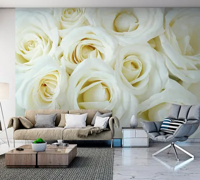 Белые розы фотообои на заказ Кишинев | Обои на заказ любых размеров за один  день, Кишинев, Молдова