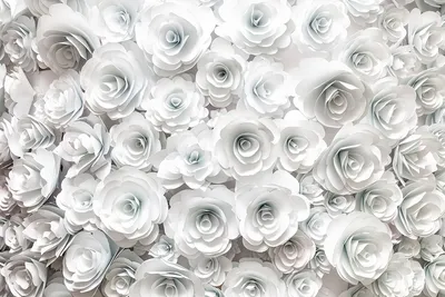 Фотообои бумажные 368х254 см Розы белые купить недорого в интернет-магазине  товаров для декора Бауцентр