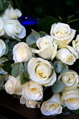 Фотообои Белые глянцевые розы u24920 купить в Украине | Интернет-магазин  Walldeco.ua