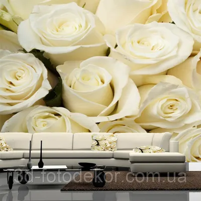 Фотообои розы на стену: каталог, цена, фото - \"Шпалерня\"