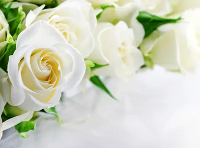 Фотообои Photostena 3D белые розы и шары 4,08 x 2,7 м - купить в Москве,  цены на Мегамаркет