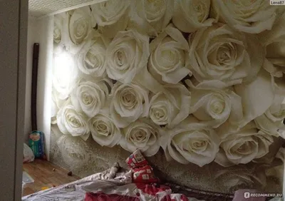 Фотообои цветы \"Белые розы\" (ID#1313503088), цена: 499 ₴, купить на Prom.ua