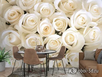 Купить фотообои Крупные белые розы арт. 109060 на стену: цены, фото,  каталог - интернет-магазин «LIKE»