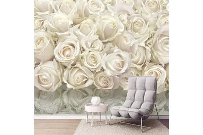 Фотообои Dekor Vinil Белые розы 300х260 см 7748dv - выгодная цена, отзывы,  характеристики, фото - купить в Москве и РФ