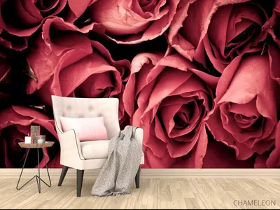 Фотообои Красные розы», (арт. 12994) - купить в интернет-магазине Chameleon