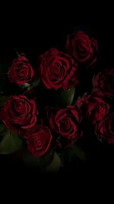 Скачать 938x1668 розы, букет, красный, темный фон обои, картинки iphone  8/7/6s/6 for parallax