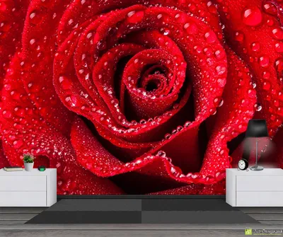 АРТ ФОТООБОИ / Фотообои, обои Розы, цветы на стену, в зал, гостиную,  спальню, на кухню, 300 см x 270 см - купить по выгодной цене в  интернет-магазине OZON (583719048)
