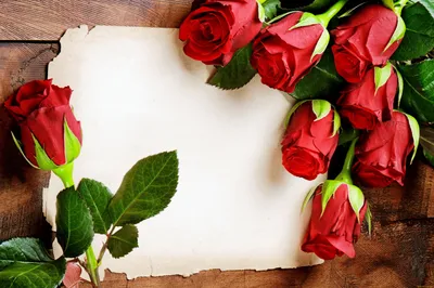Обои для рабочего стола Розы красные цветок