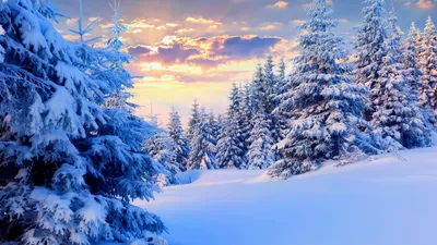 Обои зима, снег, деревья на рабочий стол